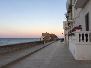 Casa Colibri Monopoli